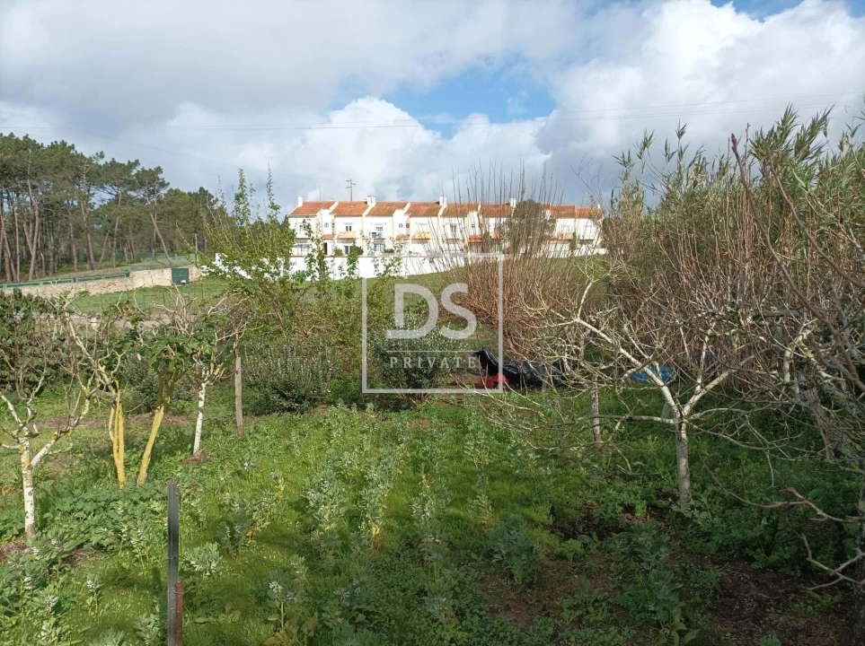 Terreno para Venda em Ericeira Foto 5