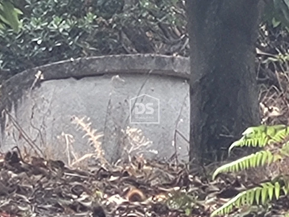 Terreno para Venda em Armamar Foto 19