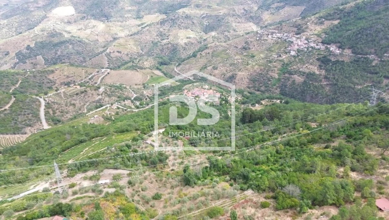 Terreno para Venda em Armamar Foto 17