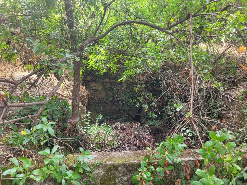 Terreno para Venda em Armamar Foto 4