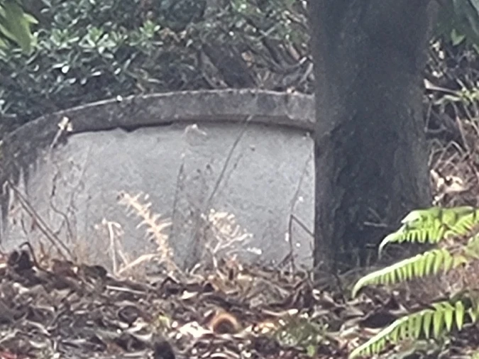 Terreno para Venda em Armamar Foto 3