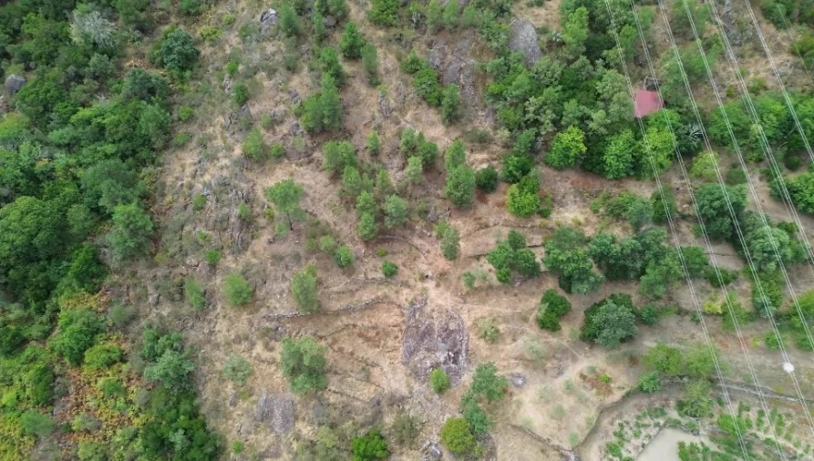 Terreno para Venda em Armamar Foto 9