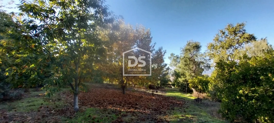 Terreno para Venda em Armamar Foto 24