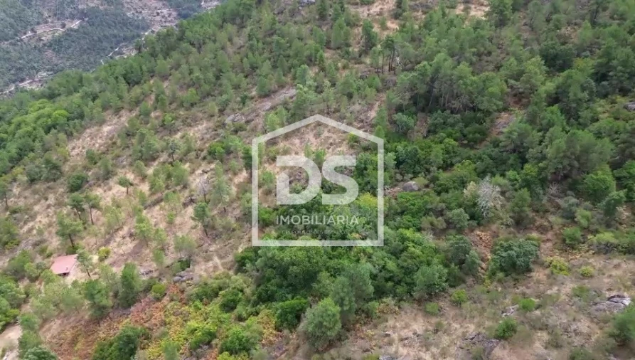 Terreno para Venda em Armamar Foto 13