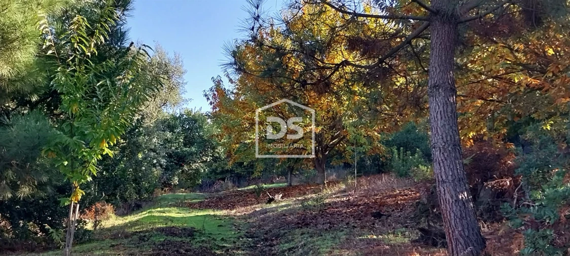 Terreno para Venda em Armamar Foto 25