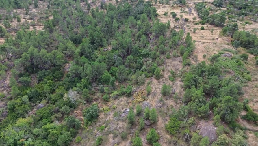 Terreno para Venda em Armamar Foto 8