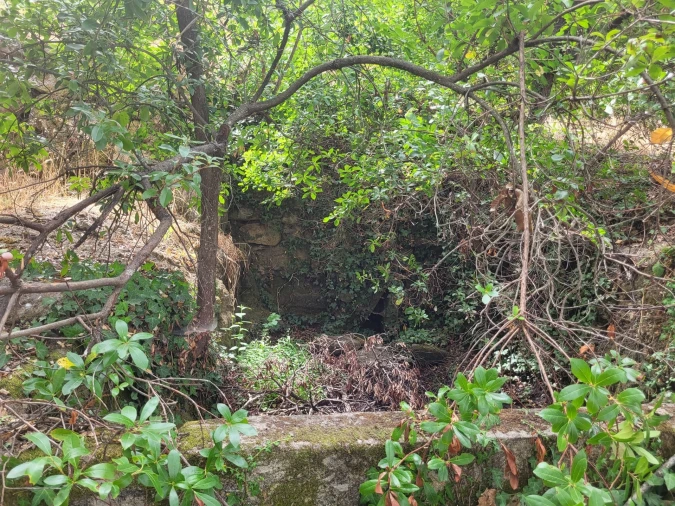 Terreno para Venda em Armamar Foto 4