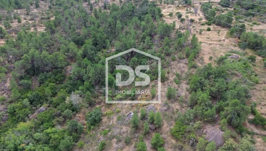 Terreno para Venda em Armamar Foto 15