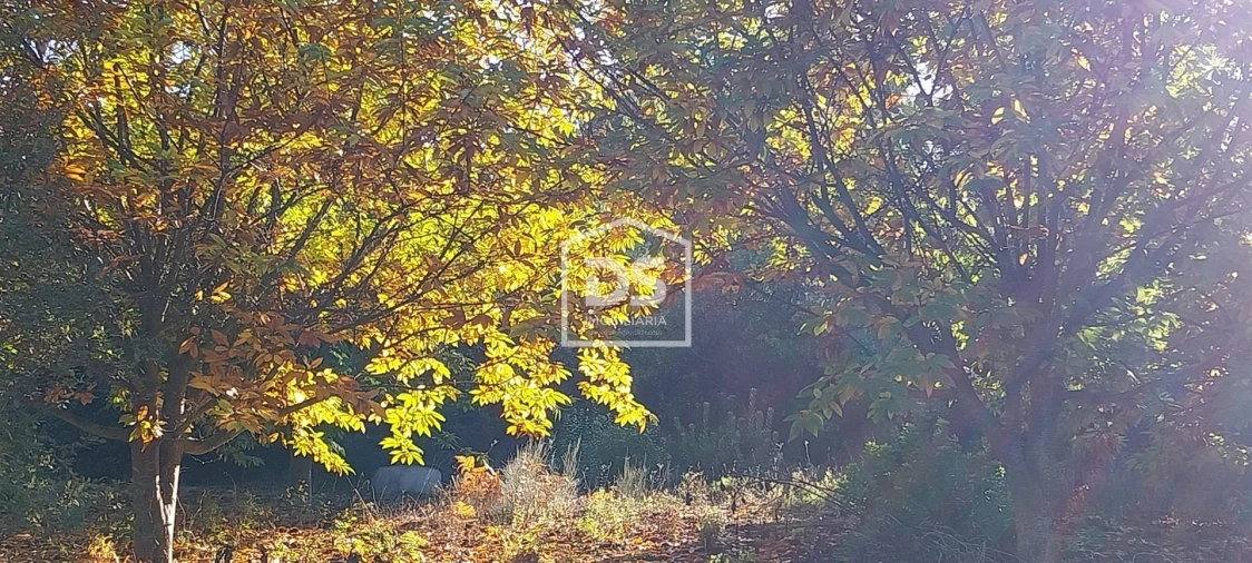 Terreno para Venda em Armamar Foto 26