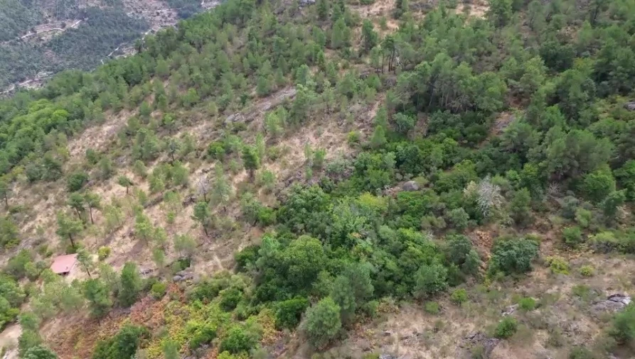 Terreno para Venda em Armamar Foto 6