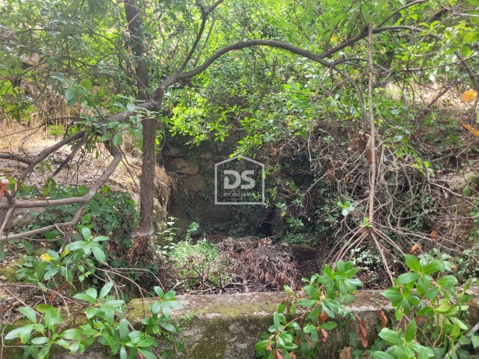 Terreno para Venda em Armamar Foto 18