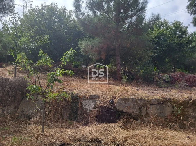 Terreno para Venda em Armamar Foto 21