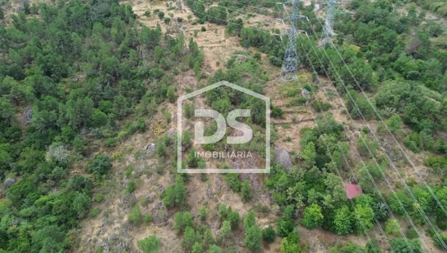 Terreno para Venda em Armamar Foto 12