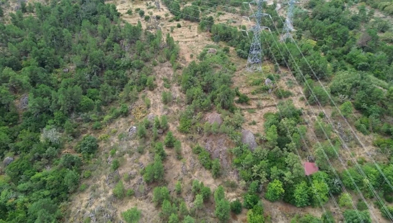Terreno para Venda em Armamar Foto 5