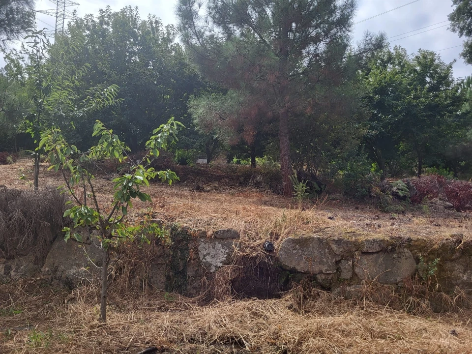 Terreno para Venda em Armamar Foto 11