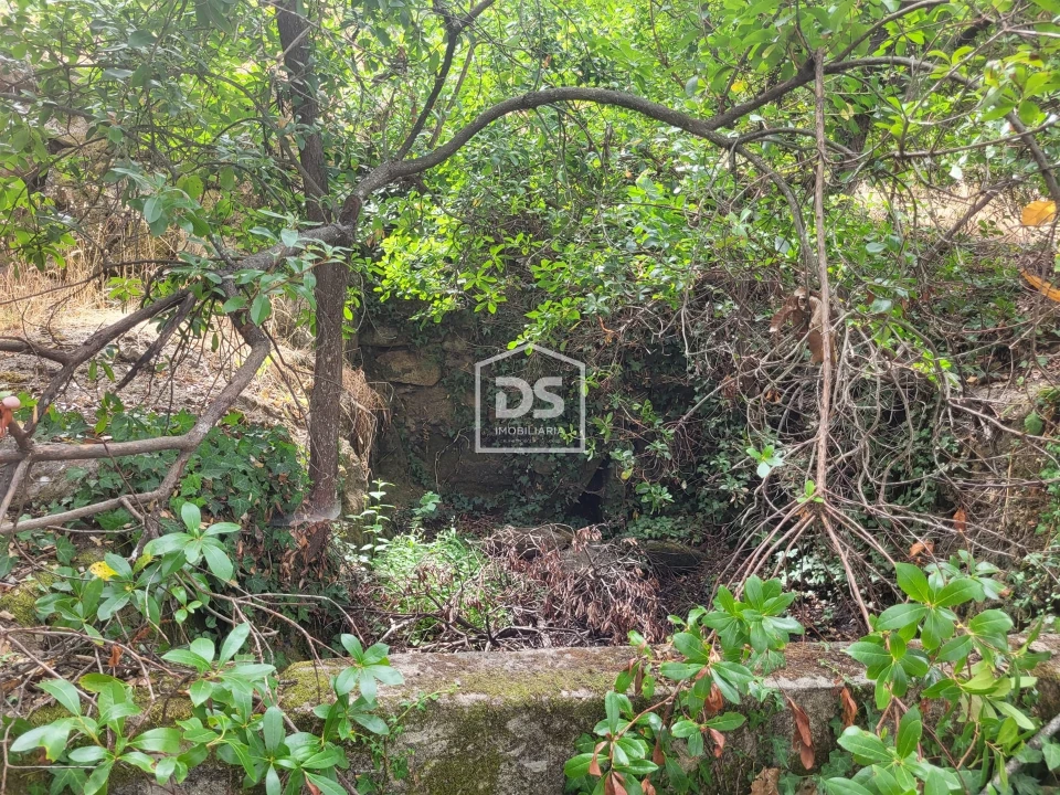 Terreno para Venda em Armamar Foto 18