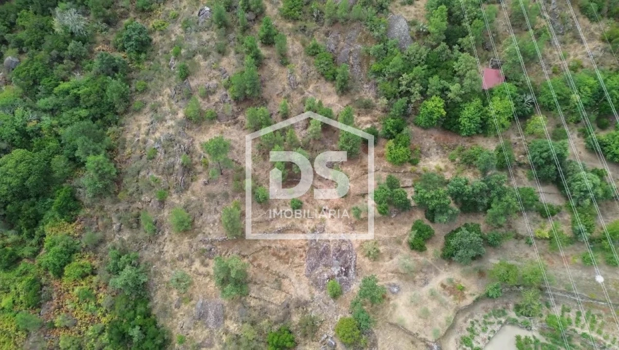 Terreno para Venda em Armamar Foto 16