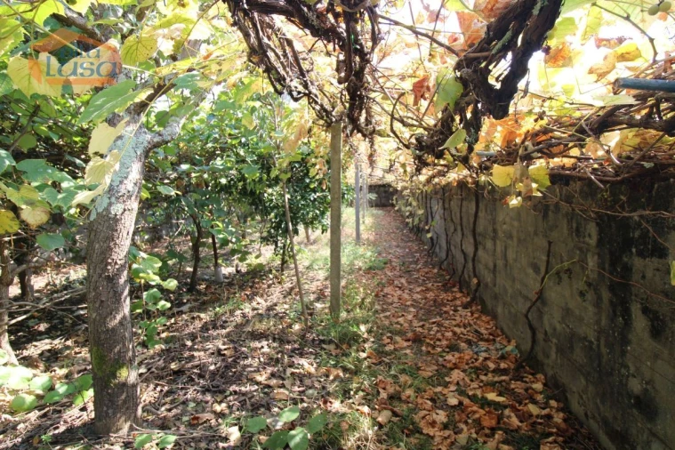 Terreno para Venda em Canidelo Foto 7