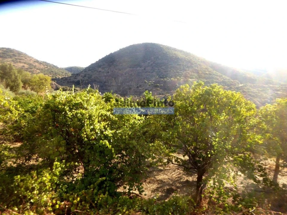 Terreno Agricola ou Rústico para Venda em Figueira de Castelo Rodrigo Foto 7