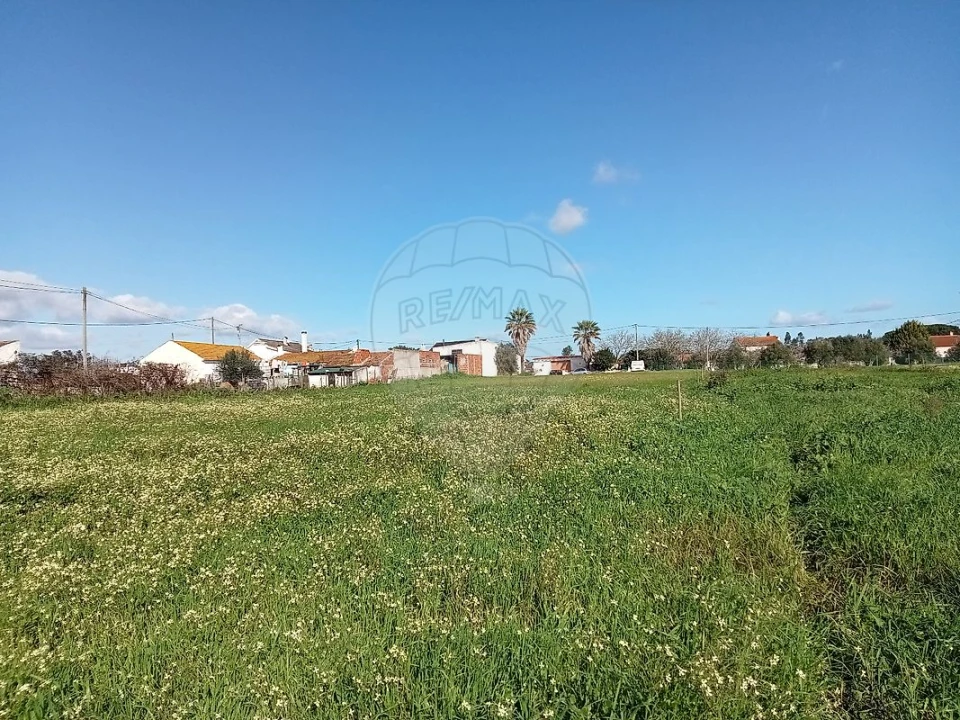Terreno para Venda em Povoa da Isenta Foto 3