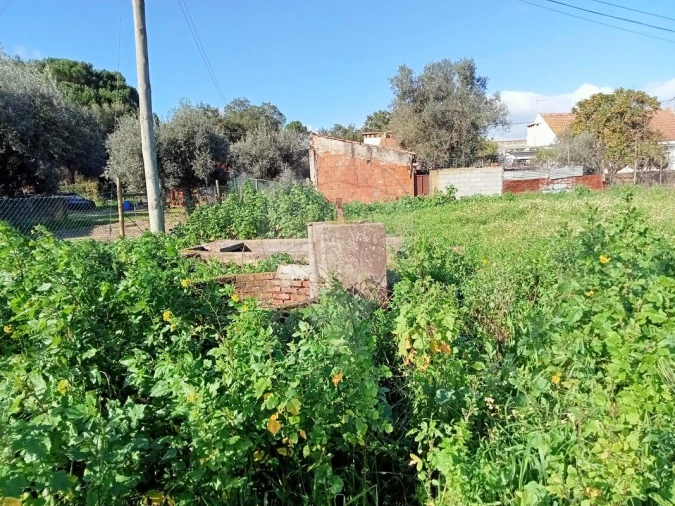 Terreno para Venda em Povoa da Isenta Foto 4