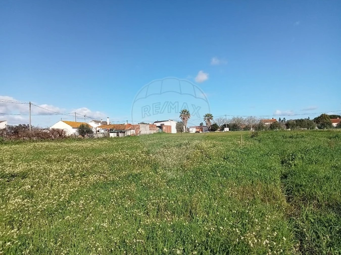 Terreno para Venda em Povoa da Isenta Foto 3