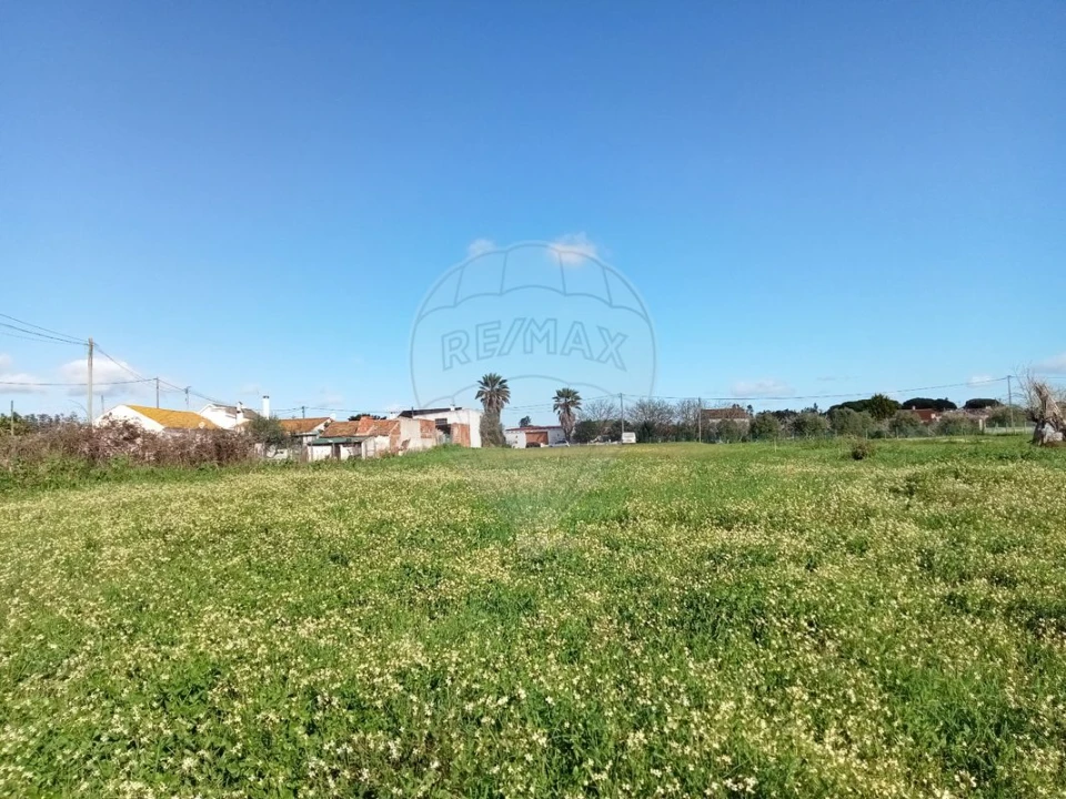 Terreno para Venda em Povoa da Isenta Foto 7