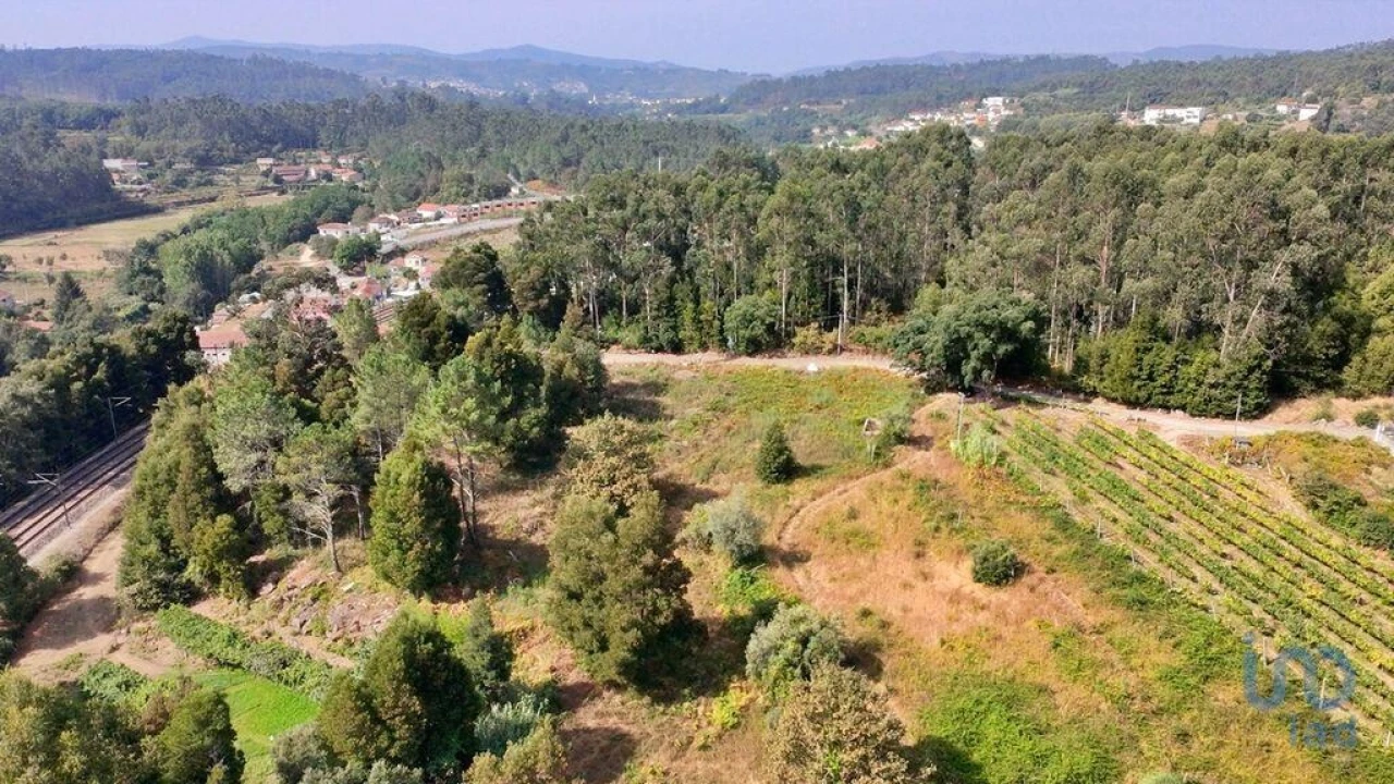 Terreno para Venda em Parada de Todeia Foto 16
