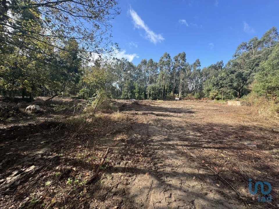 Terreno para Venda em Parada de Todeia Foto 10