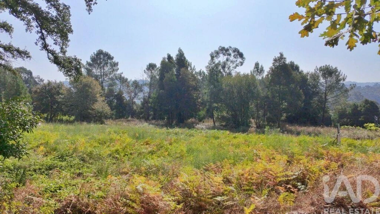 Terreno para Venda em Parada de Todeia Foto 17