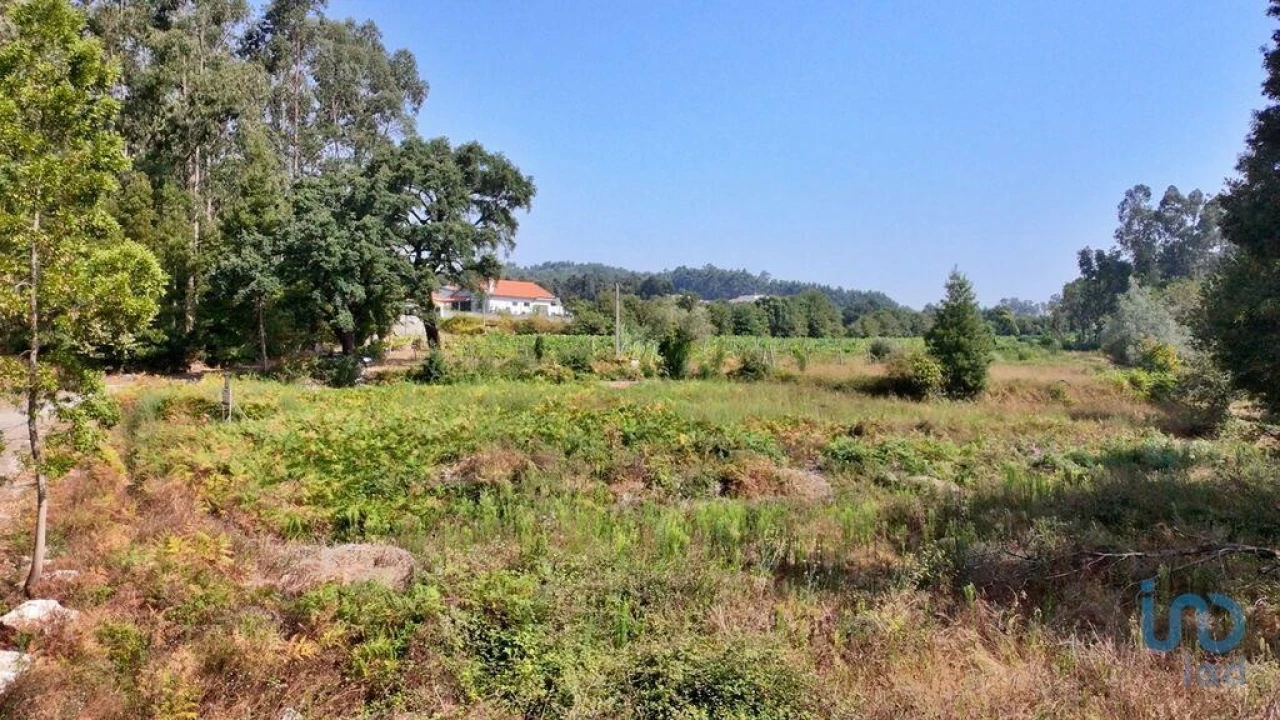 Terreno para Venda em Parada de Todeia Foto 12