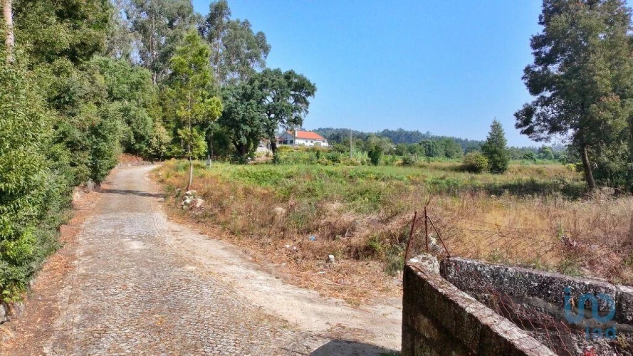 Terreno para Venda em Parada de Todeia Foto 13