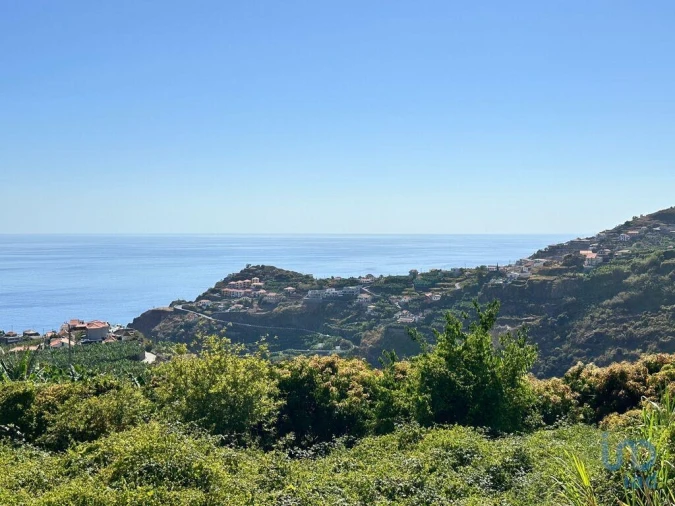 Moradia T4 para Venda em Ribeira Brava Foto 13