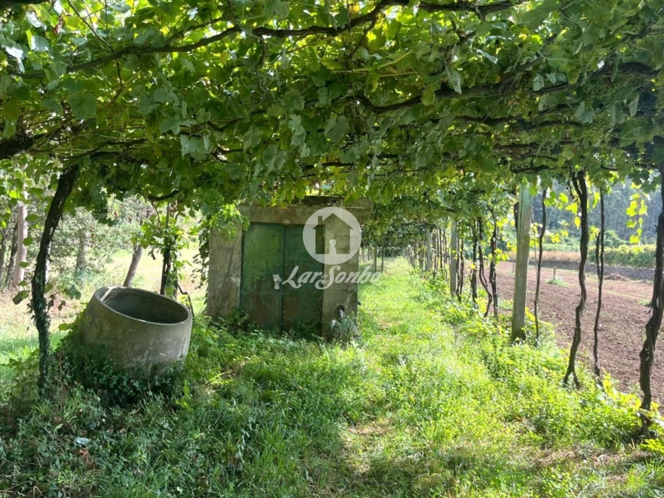 Terreno Agricola ou Rústico para Venda em Abade de Neiva Foto 8