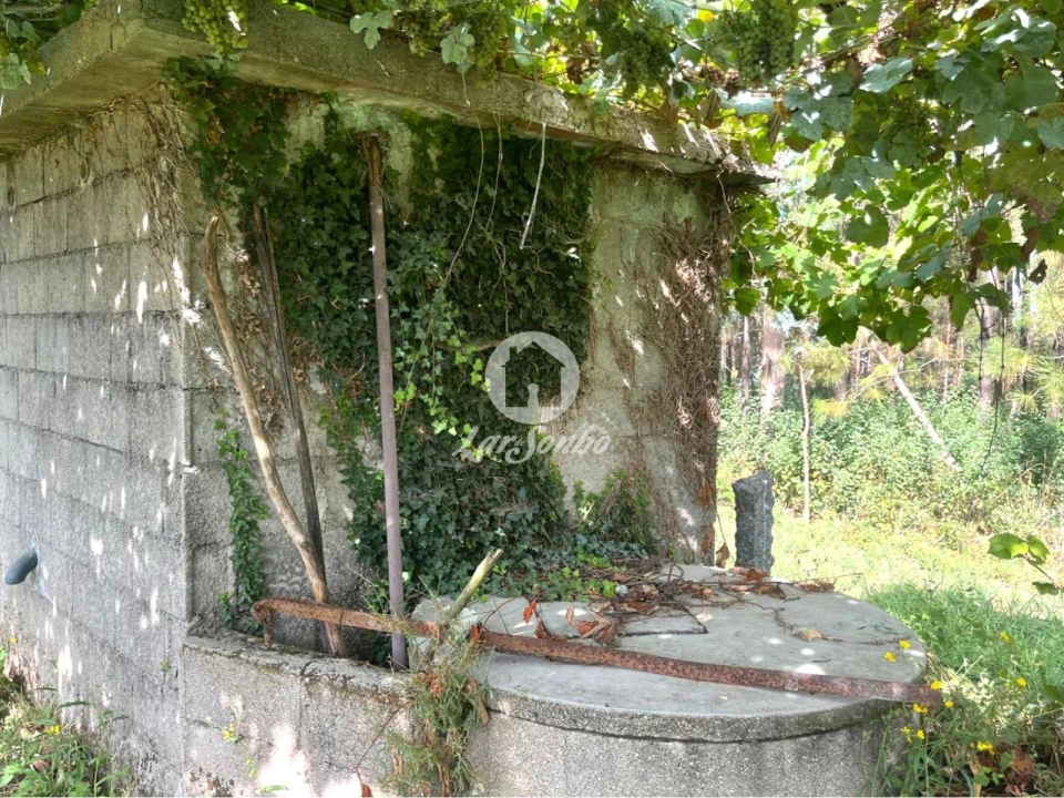 Terreno Agricola ou Rústico para Venda em Abade de Neiva Foto 10