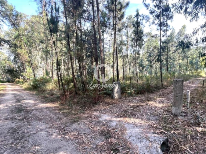 Terreno Agricola ou Rústico para Venda em Abade de Neiva Foto 15