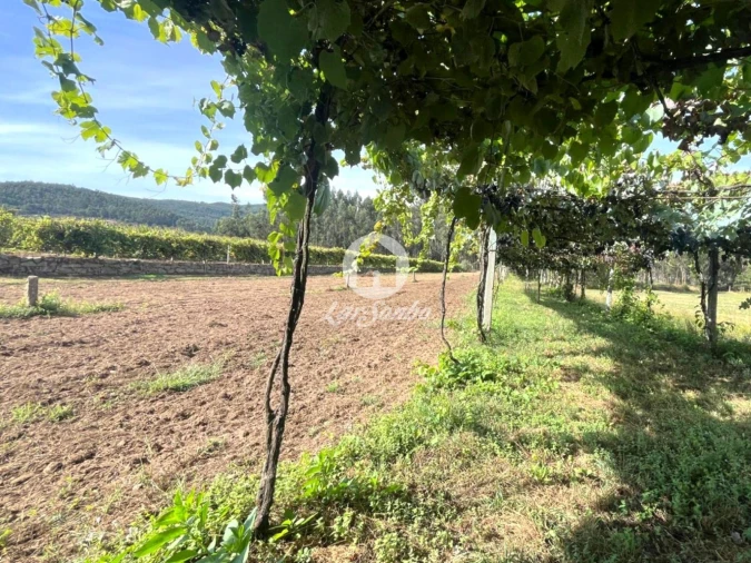 Terreno Agricola ou Rústico para Venda em Abade de Neiva Foto 17