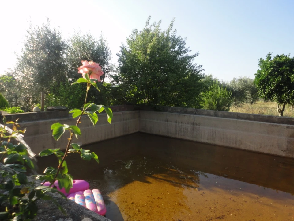 Quinta T3 para Venda em Pego Foto 9