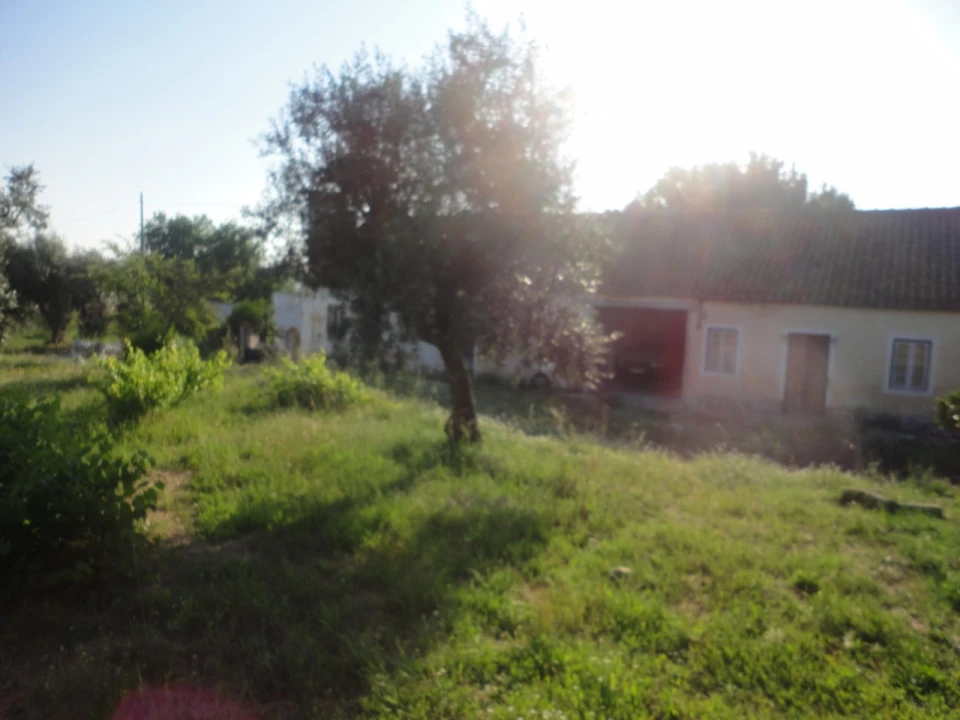 Quinta T3 para Venda em Pego Foto 10