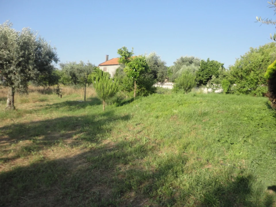 Quinta T3 para Venda em Pego Foto 11