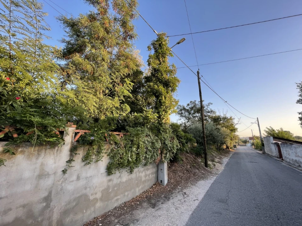 Quinta T3 para Venda em Pego Foto 3