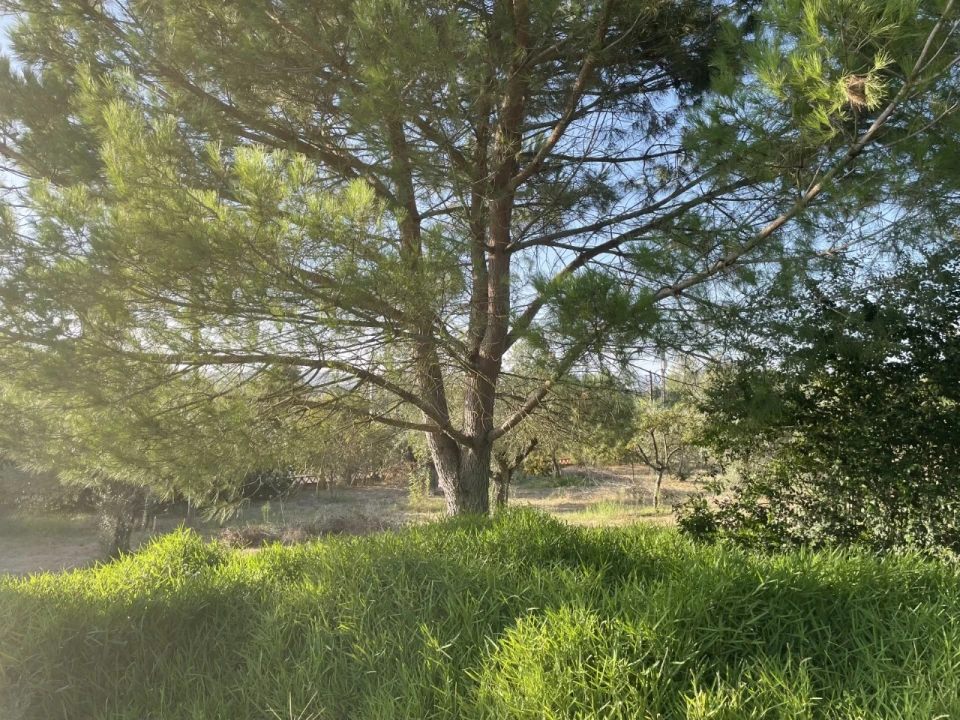 Quinta T3 para Venda em Pego Foto 10