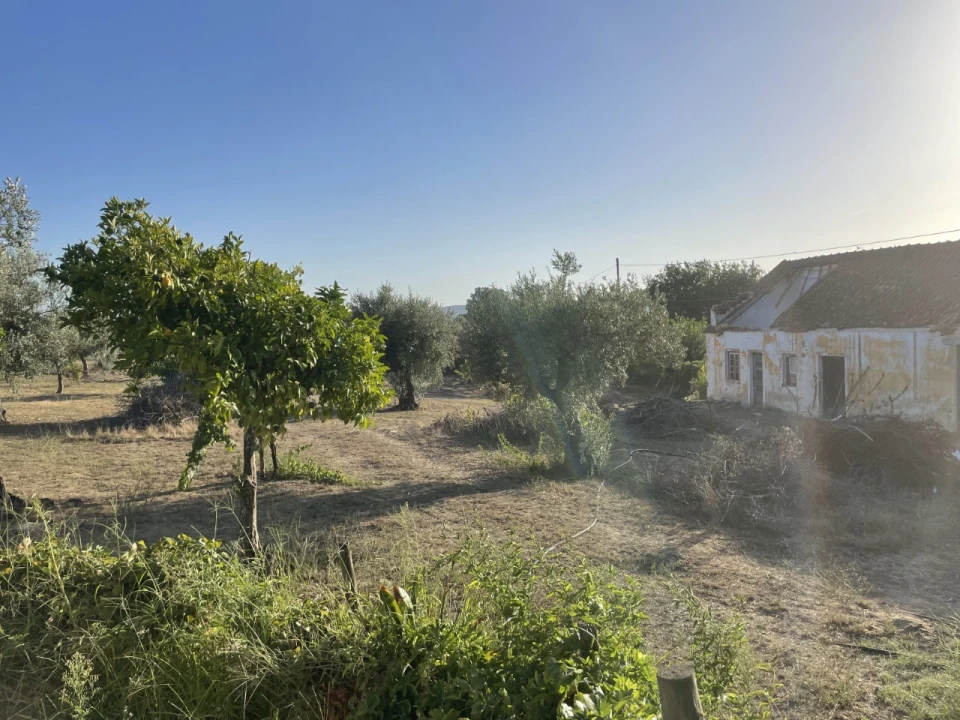 Quinta T3 para Venda em Pego Foto 11
