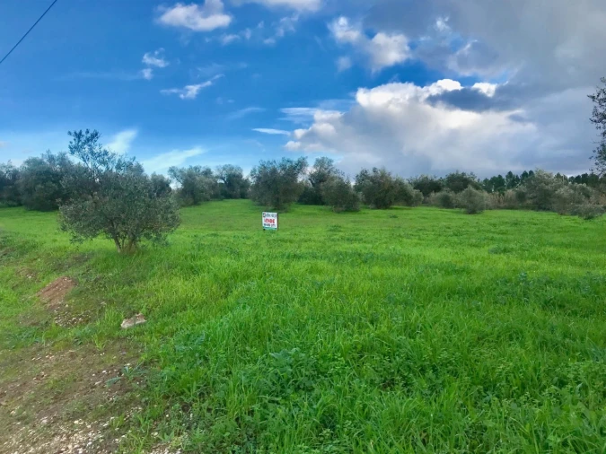 Quinta T3 para Venda em Pego Foto 3