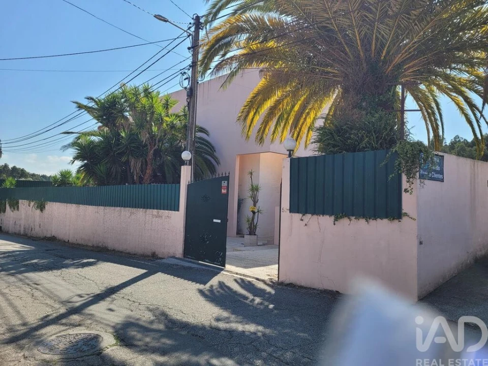 Prédio para Venda em Esgueira Foto 2