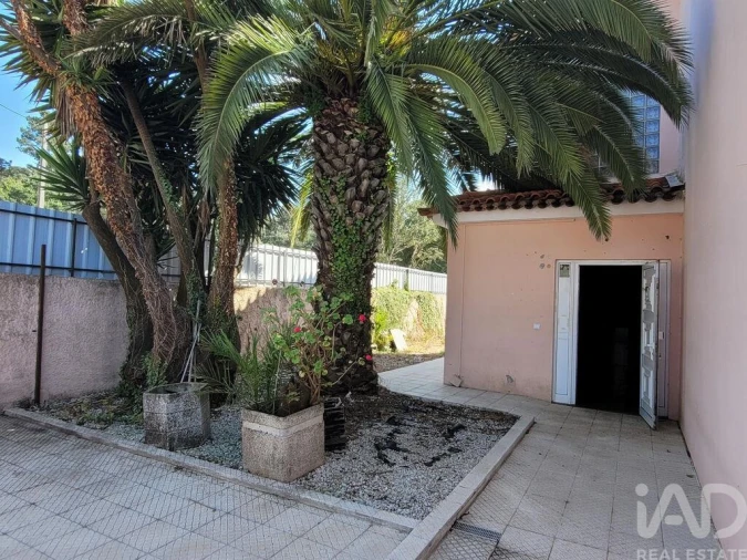 Prédio para Venda em Esgueira Foto 3