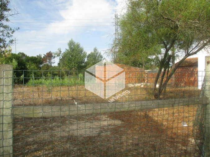 Moradia T4 para Venda em São Pedro Foto 3