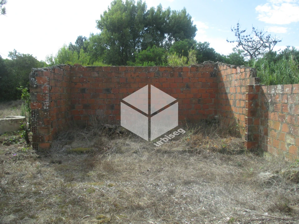 Moradia T4 para Venda em São Pedro Foto 4