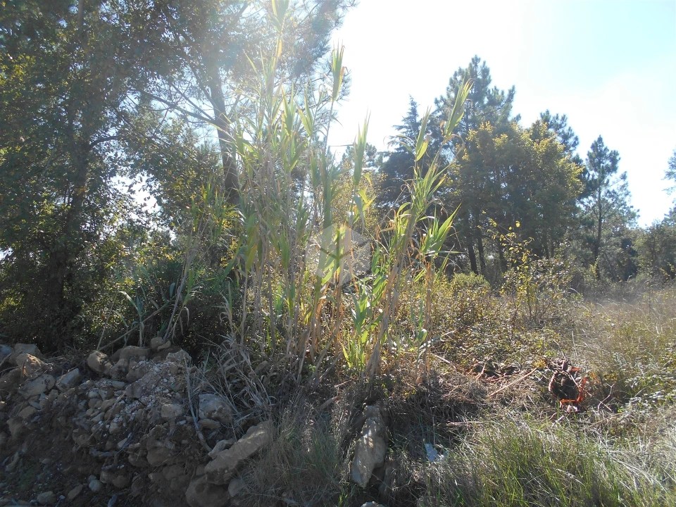 Terreno para Venda em Alhadas Foto 3