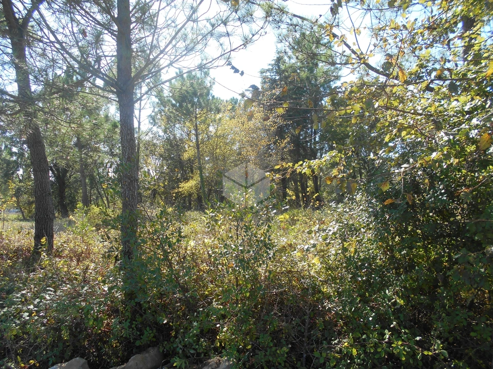Terreno para Venda em Alhadas Foto 2